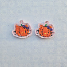 Load image into Gallery viewer, HK Pumpkin